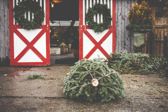 Lexington Love | A Christmas Shop - offbeat + inspired